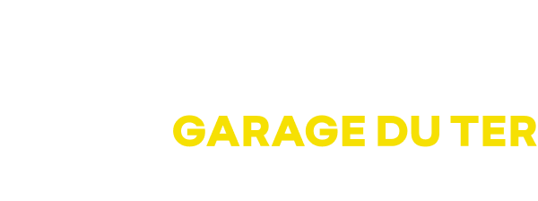 Logo Renault garage du ter